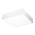 Azzardo AZ2268 - Светодиодный потолочный светильник MONZA SQUARE 1xLED/20W/230V