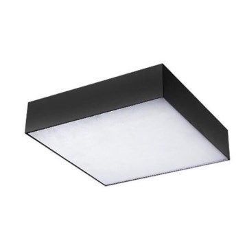 Azzardo AZ2274 - Светодиодный потолочный светильник MONZA SQUARE 1xLED/50W/230V