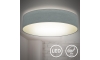 B.K. Licht 1393 - Світлодіодний стельовий світильник LED/20W/230V сірий