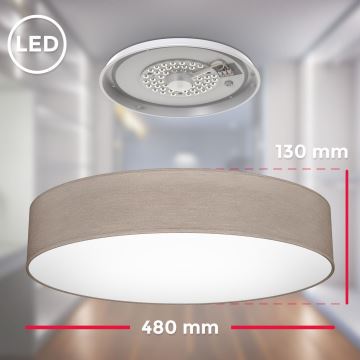 B.K. Licht 1395 - Світлодіодний стельовий світильник LED/20W/230V taupe