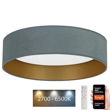 Brilagi - Стельовий LED світильник з регулюванням яскравості VELVET SMART LED/24W/230V ⌀ 45 см 2700-6500K Wi-Fi Tuya м'ятна/золотий + дистанційне керування