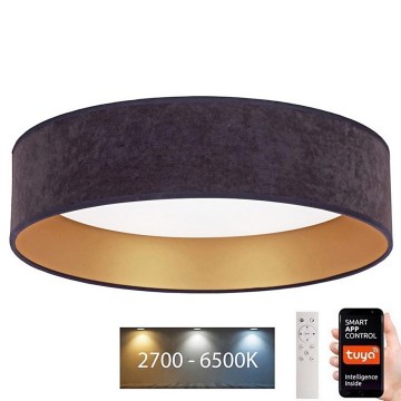 Brilagi - Стельовий LED світильник з регулюванням яскравості VELVET SMART LED/24W/230V ⌀ 45 см 2700-6500K Wi-Fi Tuya сірий/золотий + дистанційне керування