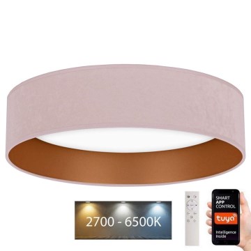 Brilagi - Стельовий LED світильник з регулюванням яскравості VELVET SMART LED/36W/230V ⌀ 55 см 2700-6500K Wi-Fi Tuya рожевий/золотий + дистанційне керування