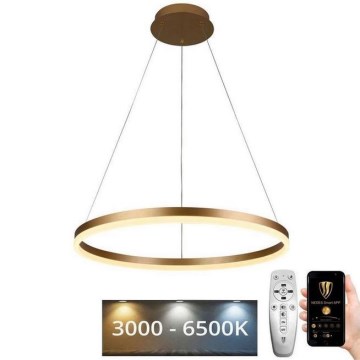 Brilagi - Светодиодная подвесная люстра с регулированием яркости CIRCLE LED/42W/230V 3000-6500K + дистанционное управление