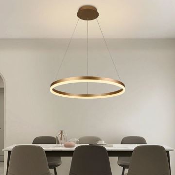 Brilagi - Светодиодная подвесная люстра с регулированием яркости CIRCLE LED/42W/230V 3000-6500K + дистанционное управление