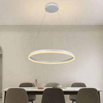 Brilagi - Светодиодная подвесная люстра с регулированием яркости CIRCLE LED/42W/230V 3000-6500K + дистанционное управление