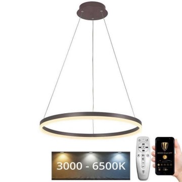 Brilagi - Светодиодная подвесная люстра с регулированием яркости CIRCLE LED/42W/230V 3000-6500K коричневый + дистанционное управление