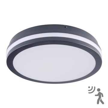 Brilagi - Светодиодный уличный светильник с датчиком BENE LED/24W/230V диаметр 26 см антрацит IP54