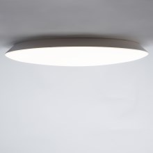 Brilagi - Світлодіодний стельовий світильник для ванної кімнати VESTAS LED/45W/230V 3000K IP54