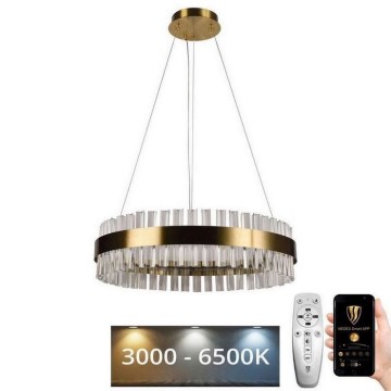 Brilagi - Кришталева підвісна LED люстра з регулюванням яскравості HALO LED/40W/230V + пульт дистанційного керування