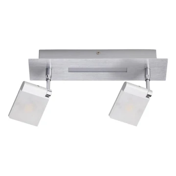 Brilliant - Точковий LED світильник PLAXICO 2xLED/6W/230V