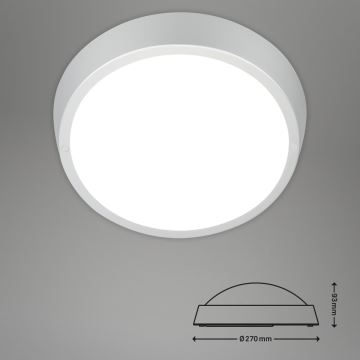 Briloner 3018-014 - Світлодіодний стельовий світильник для ванної кімнати HAGEN LED/24W/230V IP44 білий