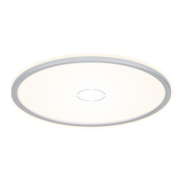 Briloner 3392-014 - Стельовий LED світильник FREE LED/22W/230V ø 42 см