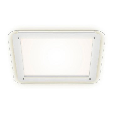 Briloner 3397-016 - Стельовий LED світильник FREE LED/22W/230V