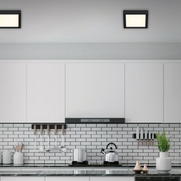 Briloner 3464-415 - Світлодіодний стельовий світильник FIRE LED/12W/230V 17x17 cm