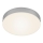 Briloner 7064014 - Светодиодный потолочный светильник FLAME LED/11W/230V серебристый