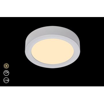 Briloner 7124-014 - Стельовий LED світильник з регулюванням яскравості FIRE LED/12W/230V 3000K