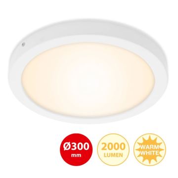 Briloner 7141-016 - Стельовий LED світильник FIRE LED/21W/230V