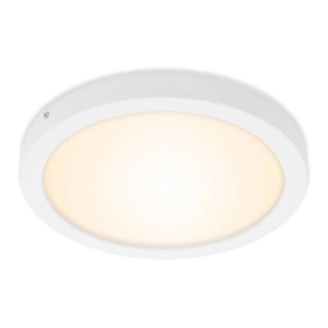 Briloner 7141-016 - Светодиодный потолочный светильник FIRE LED/21W/230V