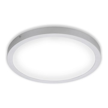 Briloner 7143-414 - Стельовий LED світильник FIRE LED/24,5W/230V 4000K