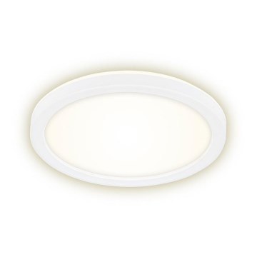 Briloner 7150-416 - Світлодіодний стельовий світильник SLIM LED/12W/230V діаметр 19 cm