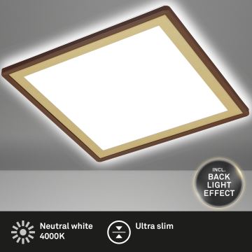 Briloner 7457-417 - Светодиодный потолочный светильник DECO LED/18W/230V