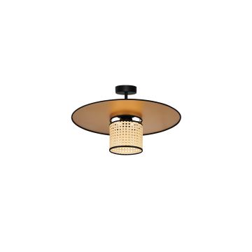 Duolla - Припотолочная люстра TOKYO RATTAN 1xE27/15W/230V золотистый/ротанг