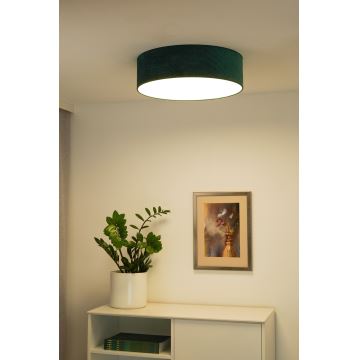 Duolla - Стельовий LED світильник CORTINA LED/26W/230V діаметр 30 см 4000K зелений