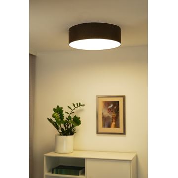 Duolla - Стельовий LED світильник CORTINA LED/26W/230V діаметр 30 см 4000K коричневий