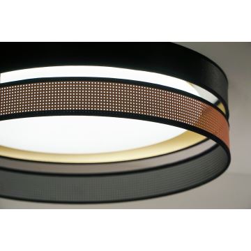 Duolla - Стельовий LED світильник ROLLER DUO SHINY LED/24W/230V чорний/мідний