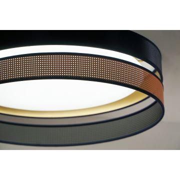 Duolla - Стельовий LED світильник ROLLER DUO SHINY LED/24W/230V синій/мідний