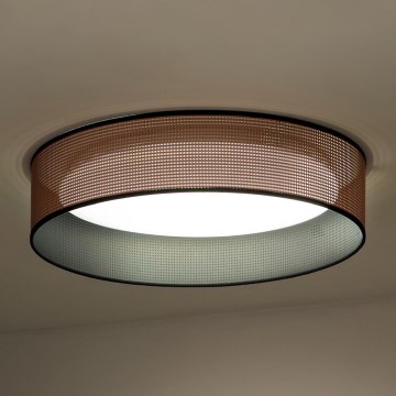 Duolla - Стельовий LED світильник ROLLER LED/24W/230V мідний/чорний