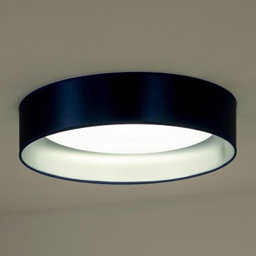 Duolla - Стельовий LED світильник ROLLER LED/24W/230V синій/срібний