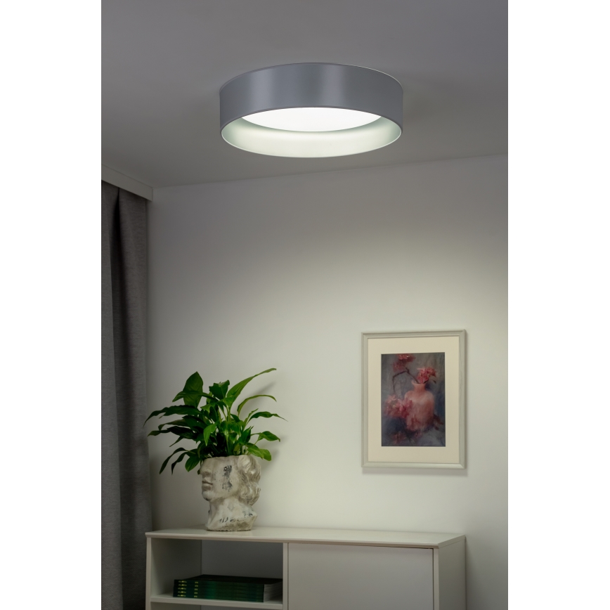 Duolla - Стельовий LED світильник ROLLER LED/24W/230V срібний