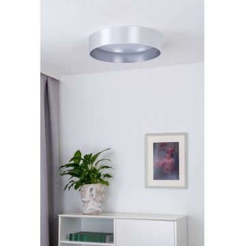 Duolla - Стельовий LED світильник ROLLER LED/24W/230V срібний