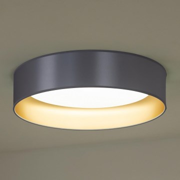 Duolla - Стельовий LED світильник ROLLER LED/24W/230V срібний/золотий