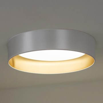 Duolla - Стельовий LED світильник ROLLER LED/24W/230V срібний/золотий