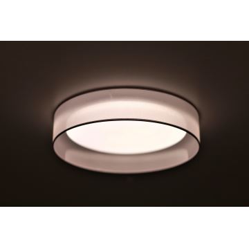 Duolla - Стельовий LED світильник ROLLER LED/24W/230V світло-сірий