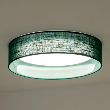 Duolla - Стельовий LED світильник ROLLER LED/24W/230V зелений