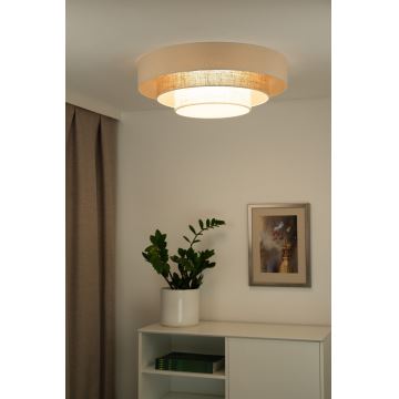 Duolla - Светодиодный потолочный светильник LUNETA LED/26W/230V диаметр 60 см 4000K ротанг/бежевый/коричневый