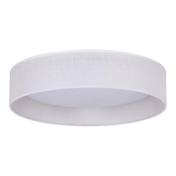 Duolla - Светодиодный потолочный светильник ROLLER LED/24W/230V белый