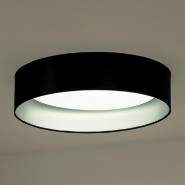 Duolla - Светодиодный потолочный светильник ROLLER LED/24W/230V черный/серебристый