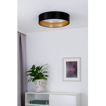 Duolla - Светодиодный потолочный светильник ROLLER LED/24W/230V черный/золотистый