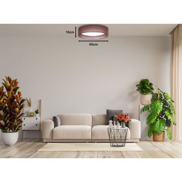 Duolla - Светодиодный потолочный светильник ROLLER LED/24W/230V темно-коричневый