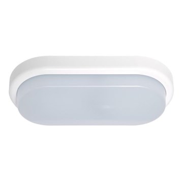 Ecolite BL12W-BI - Уличный светодиодный настенный светильник OVAL LED/12W/230V IP54