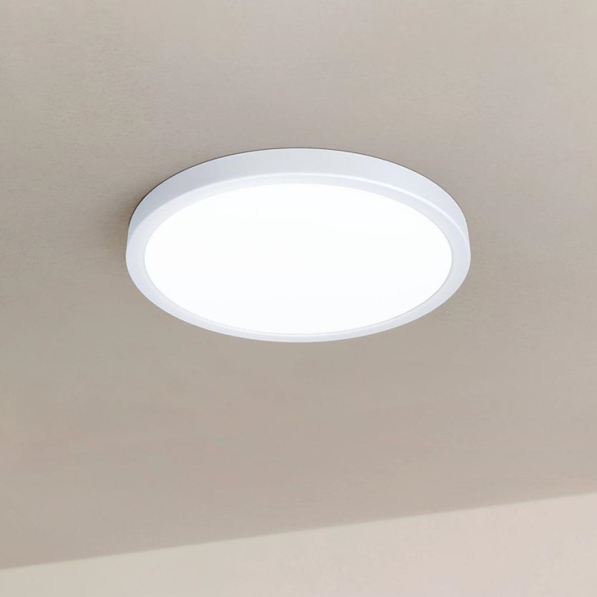 Eglo - Стельовий LED світильник з регулюванням яскравості LED/20W/230V + ДК