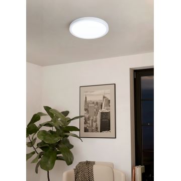 Eglo - Стельовий LED світильник з регулюванням яскравості LED/20W/230V + ДК