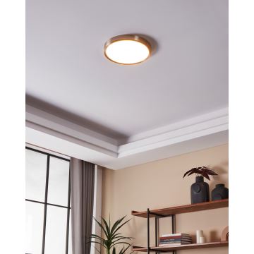 Eglo - LED світильник для ванної з регулюванням яскравості LED/19,5W/230V 2700-6500K IP44 ZigBee