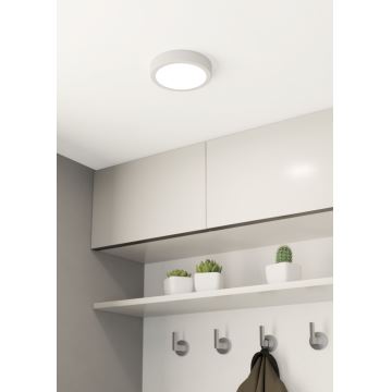 Eglo - Світлодіодний стельовий світильник LED/10,5W/230V