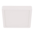 Eglo - Стельовий LED світильник для ванної LED/20,5W/230V IP44 білий